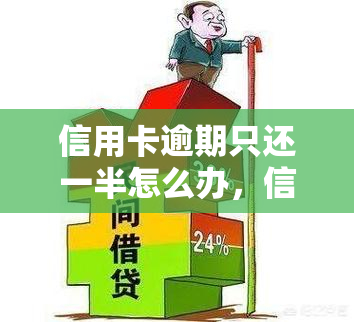 信用卡逾期只还一半怎么办，信用卡逾期未还清，只还一半应该怎么办？