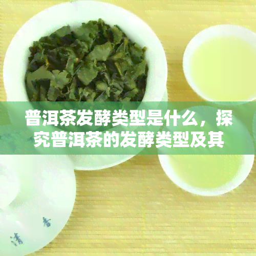 普洱茶发酵类型是什么，探究普洱茶的发酵类型及其特点