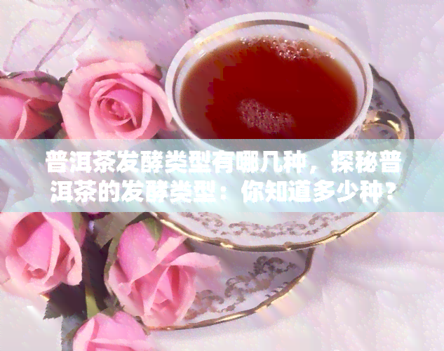 普洱茶发酵类型有哪几种，探秘普洱茶的发酵类型：你知道多少种？