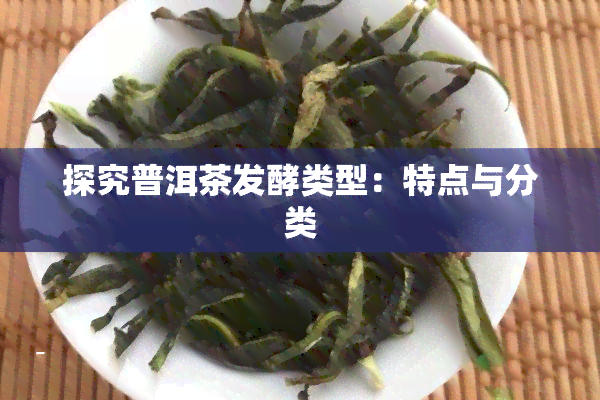 探究普洱茶发酵类型：特点与分类