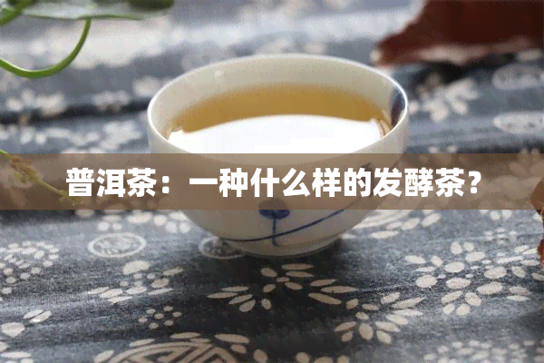 普洱茶：一种什么样的发酵茶？