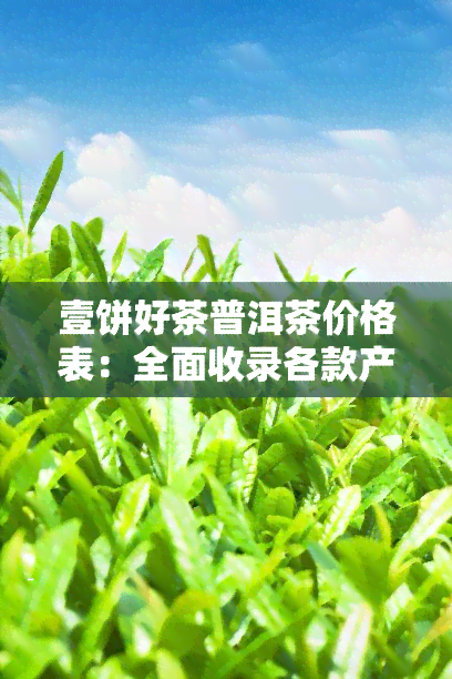 壹饼好茶普洱茶价格表：全面收录各款产品信息