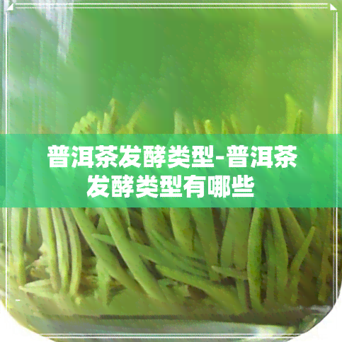 普洱茶发酵类型-普洱茶发酵类型有哪些