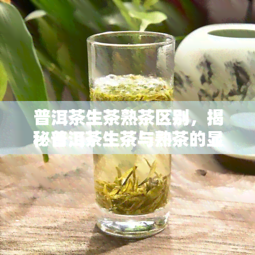 普洱茶生茶熟茶区别，揭秘普洱茶生茶与熟茶的显著区别