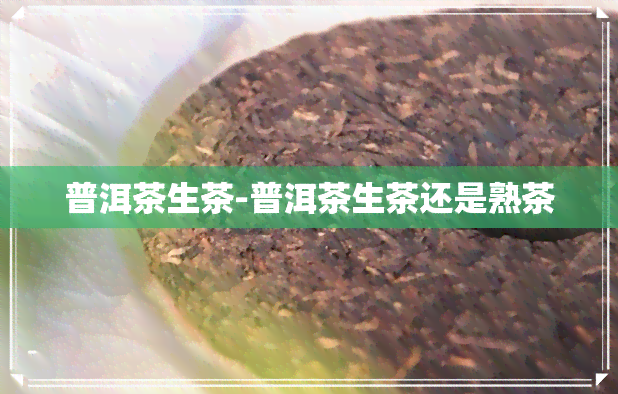 普洱茶生茶-普洱茶生茶还是熟茶