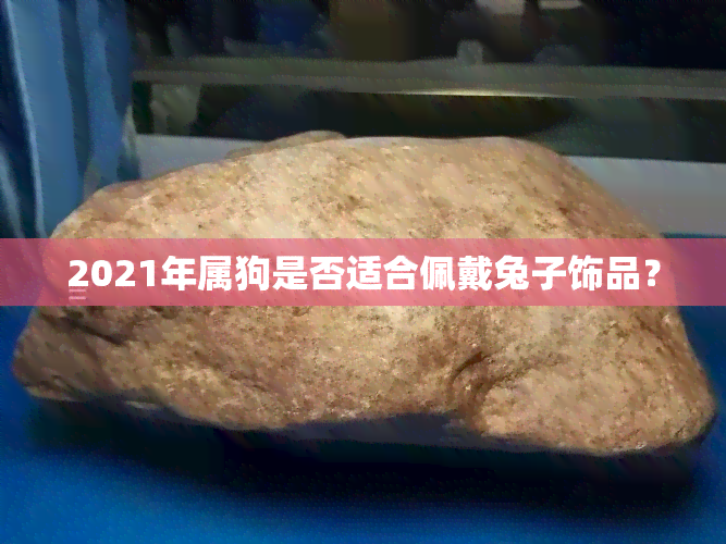 2021年属狗是否适合佩戴兔子饰品？