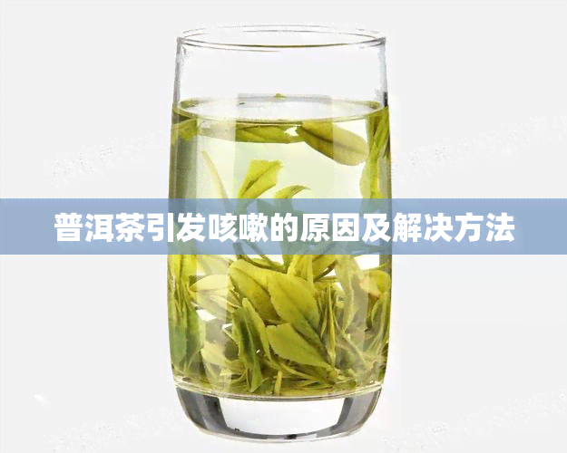 普洱茶引发咳嗽的原因及解决方法