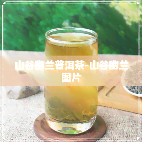 山谷幽兰普洱茶-山谷幽兰图片