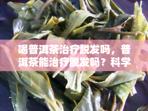 喝普洱茶治疗脱发吗，普洱茶能治疗脱发吗？科学解析与实证研究