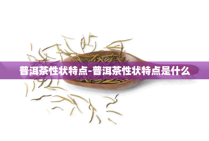 普洱茶性状特点-普洱茶性状特点是什么