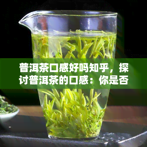 普洱茶口感好吗知乎，探讨普洱茶的口感：你是否觉得它好喝？——知乎上的观点解析