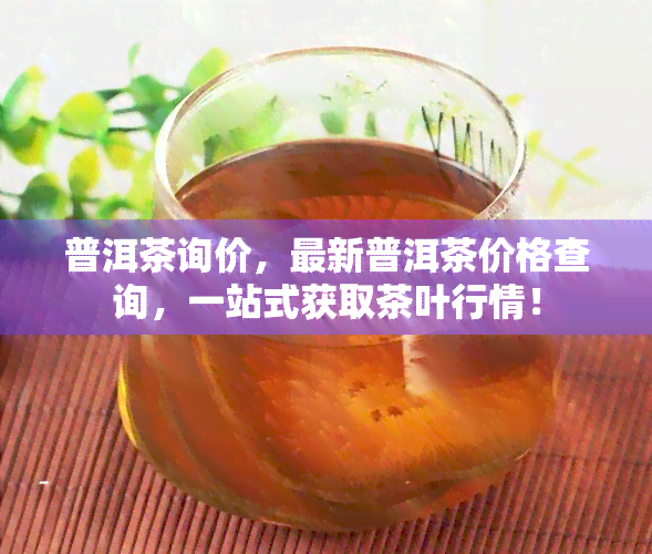 普洱茶询价，最新普洱茶价格查询，一站式获取茶叶行情！