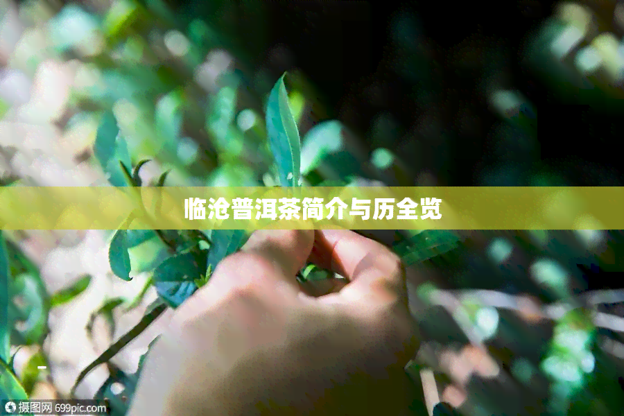 临沧普洱茶简介与历全览