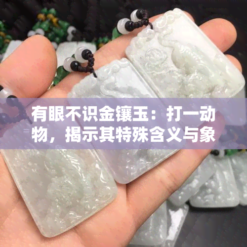 有眼不识金镶玉：打一动物，揭示其特殊含义与象征