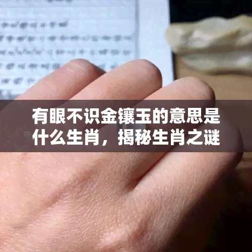 有眼不识金镶玉的意思是什么生肖，揭秘生肖之谜：有眼不识金镶玉的含义是什么？