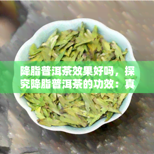 降脂普洱茶效果好吗，探究降脂普洱茶的功效：真的有效吗？