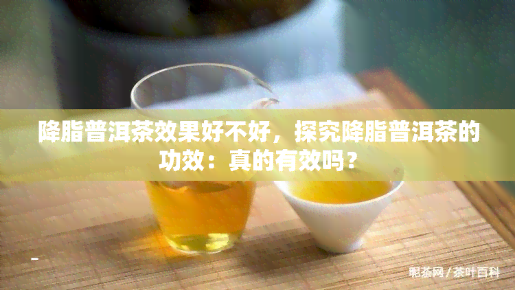 降脂普洱茶效果好不好，探究降脂普洱茶的功效：真的有效吗？