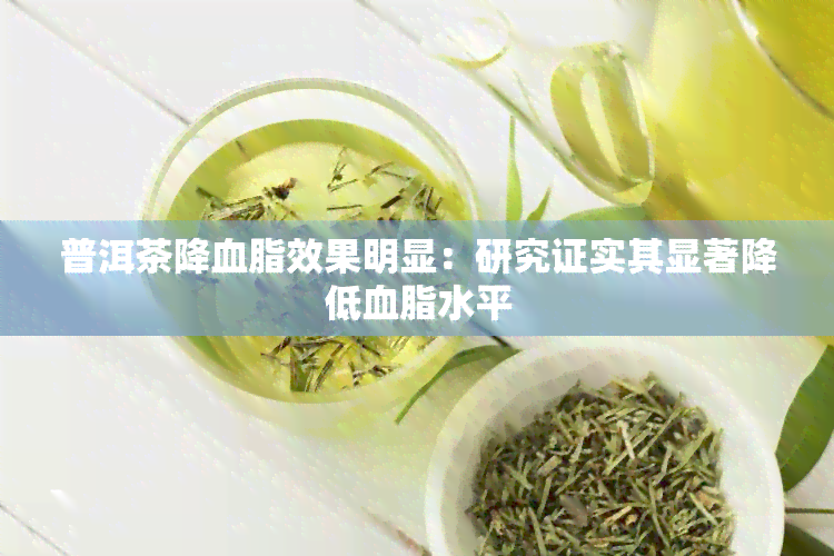 普洱茶降血脂效果明显：研究证实其显著降低血脂水平