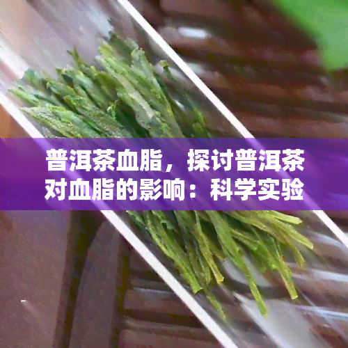 普洱茶血脂，探讨普洱茶对血脂的影响：科学实验证明的惊人效果！