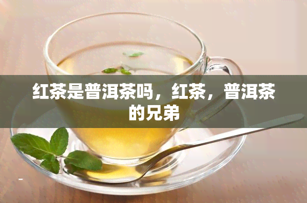 红茶是普洱茶吗，红茶，普洱茶的兄弟