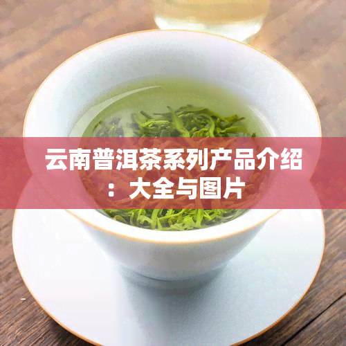 云南普洱茶系列产品介绍：大全与图片