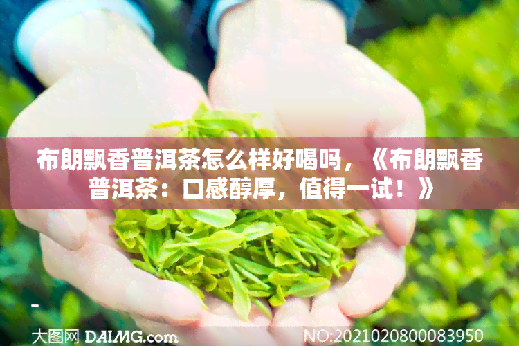 布朗飘香普洱茶怎么样好喝吗，《布朗飘香普洱茶：口感醇厚，值得一试！》