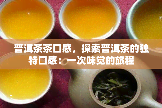 普洱茶茶口感，探索普洱茶的独特口感：一次味觉的旅程