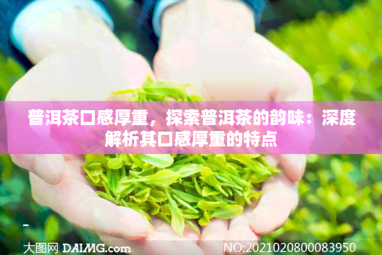 普洱茶口感厚重，探索普洱茶的韵味：深度解析其口感厚重的特点