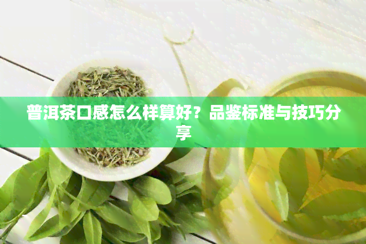 普洱茶口感怎么样算好？品鉴标准与技巧分享