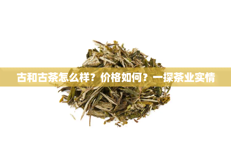 古和古茶怎么样？价格如何？一探茶业实情