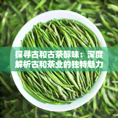 探寻古和古茶醇味：深度解析古和茶业的独特魅力