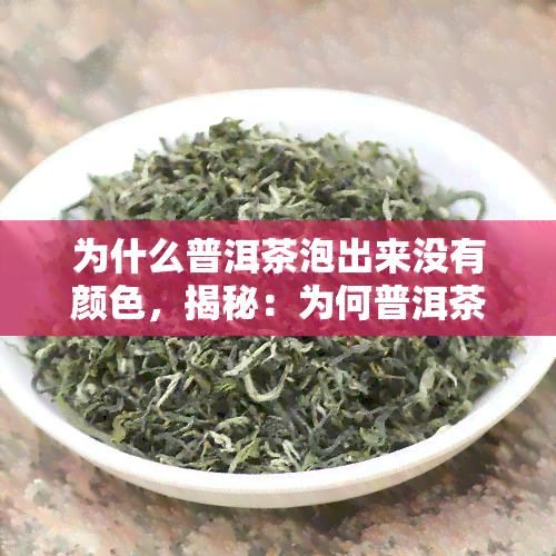 为什么普洱茶泡出来没有颜色，揭秘：为何普洱茶泡出来没有颜色？