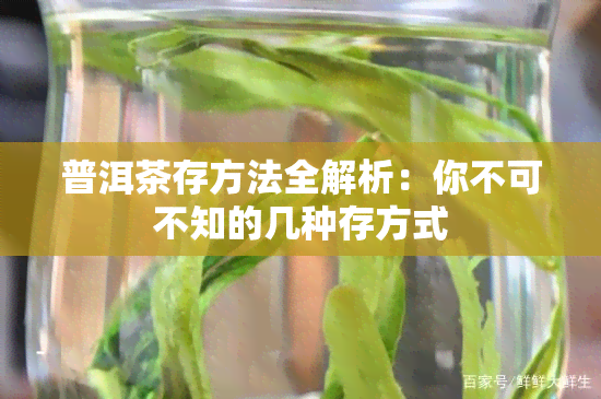 普洱茶存方法全解析：你不可不知的几种存方式