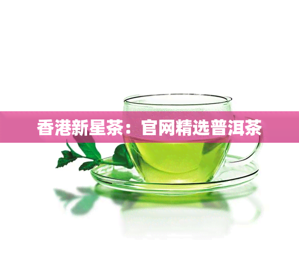 新星茶：官网精选普洱茶