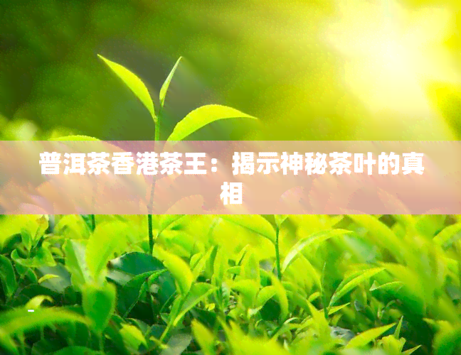 普洱茶茶王：揭示神秘茶叶的真相