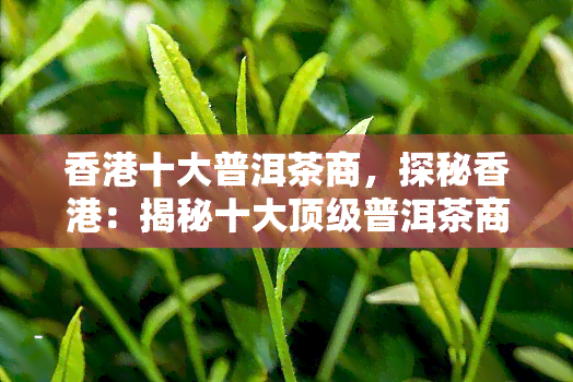 十大普洱茶商，探秘：揭秘十大顶级普洱茶商