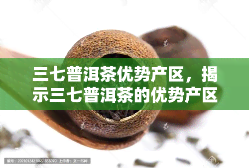 三七普洱茶优势产区，揭示三七普洱茶的优势产区：品质与特色的双重保障