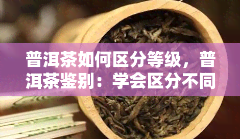 普洱茶如何区分等级，普洱茶鉴别：学会区分不同等级的方法