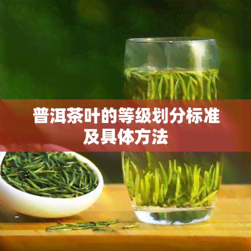 普洱茶叶的等级划分标准及具体方法