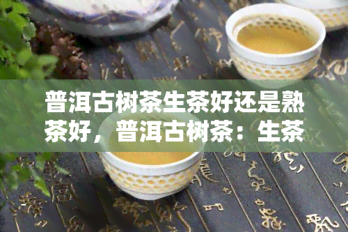 普洱古树茶生茶好还是熟茶好，普洱古树茶：生茶与熟茶的口感对比，哪一种更胜一筹？