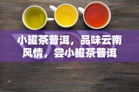 小罐茶普洱，品味云南风情，尝小罐茶普洱