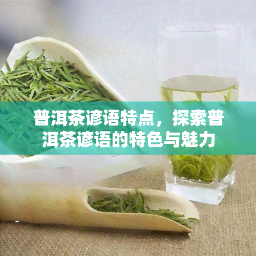 普洱茶谚语特点，探索普洱茶谚语的特色与魅力