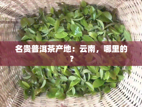 名贵普洱茶产地：云南，哪里的？