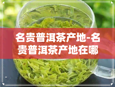 名贵普洱茶产地-名贵普洱茶产地在哪里