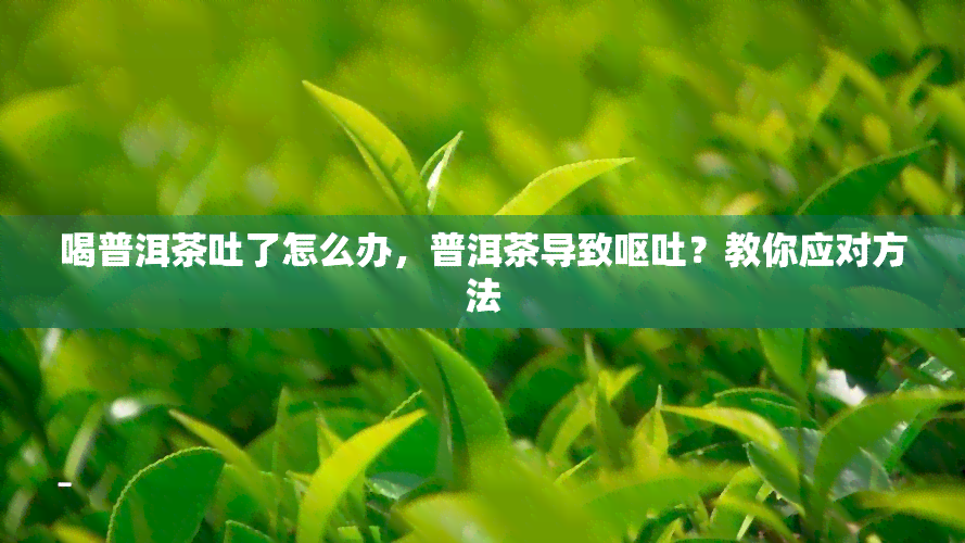 喝普洱茶吐了怎么办，普洱茶导致呕吐？教你应对方法