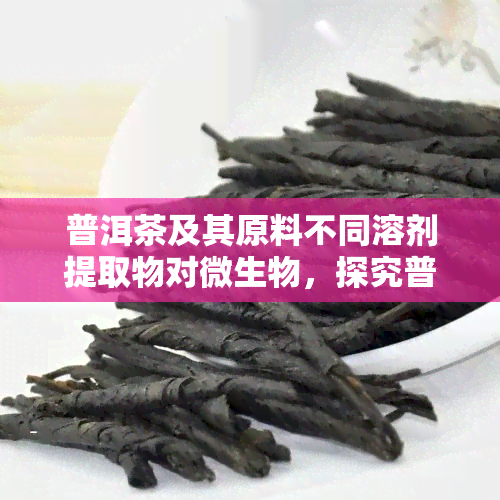 普洱茶及其原料不同溶剂提取物对微生物，探究普洱茶及原料不同溶剂提取物对微生物的作用与影响