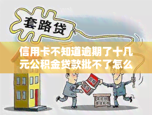 信用卡不知道逾期了十几元公积金贷款批不了怎么办，信用卡逾期十几元导致公积金贷款被拒，如何解决？