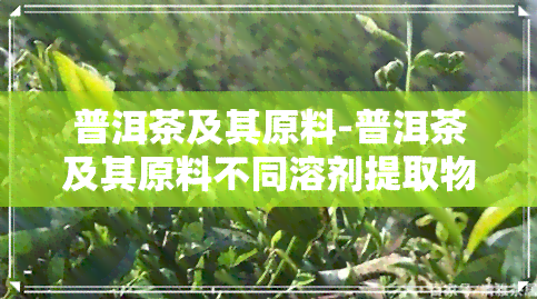 普洱茶及其原料-普洱茶及其原料不同溶剂提取物对微生物