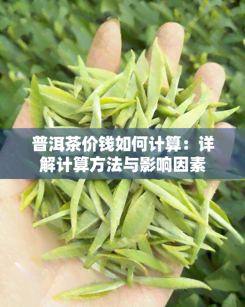 普洱茶价钱如何计算：详解计算方法与影响因素