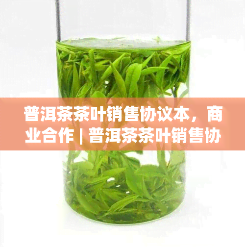 普洱茶茶叶销售协议本，商业合作 | 普洱茶茶叶销售协议本下载与使用指南